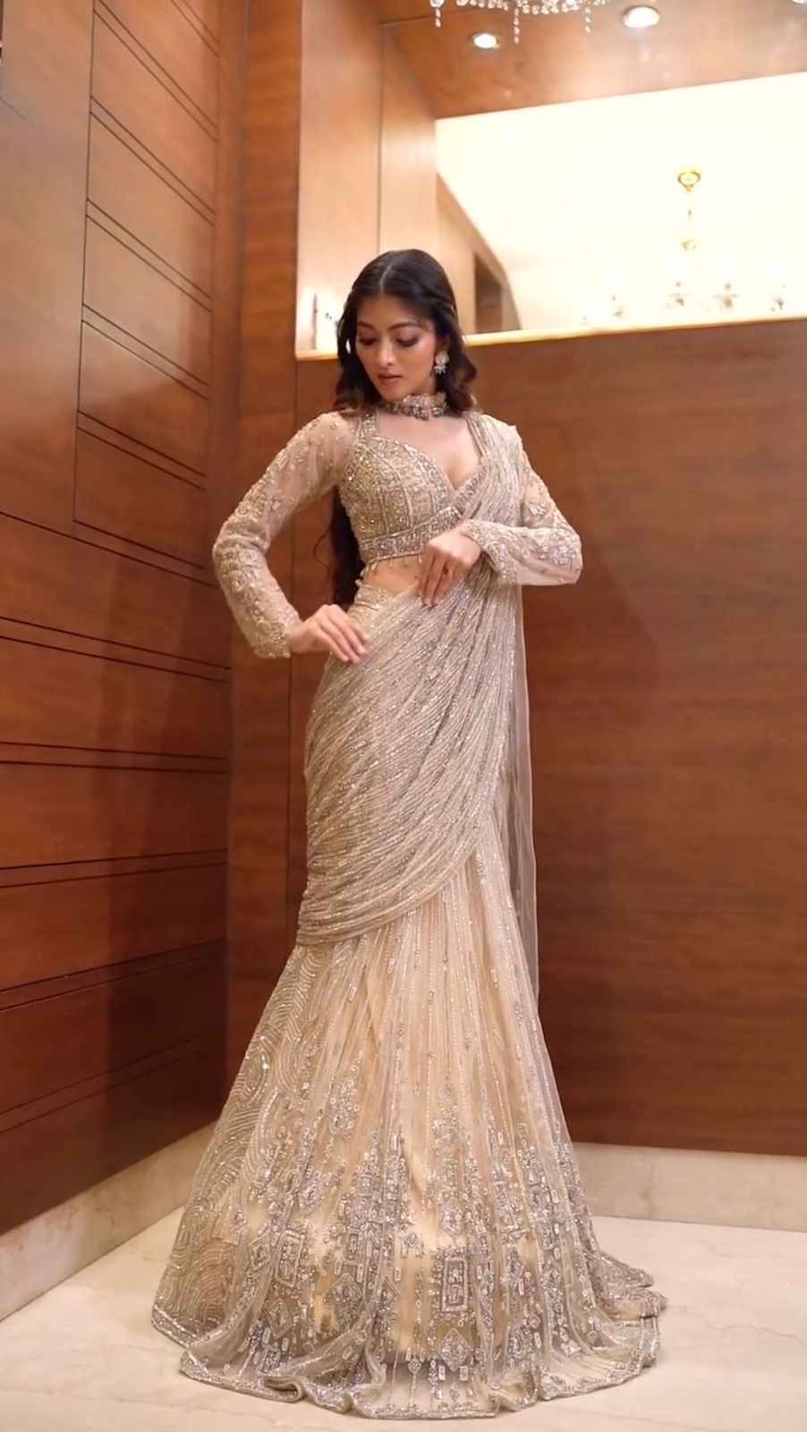 Butterfly Net Embroidered Saree Set | Ready-to-Wear Saree with Designer Full Sleeve Blouse